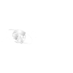 Mobinet_300_White
